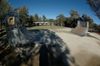 Macarthur Community Park