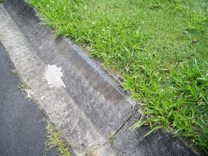 Best Gutter