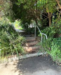 Kensington St Rail