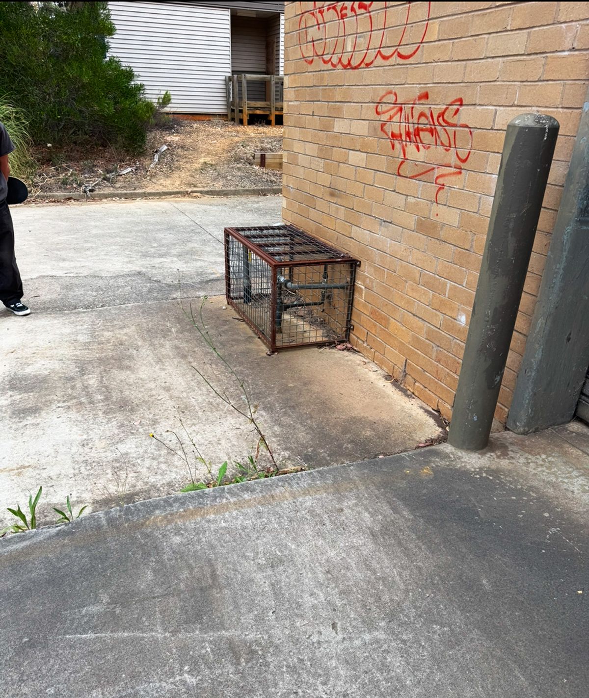 Etty St Cage skate spot