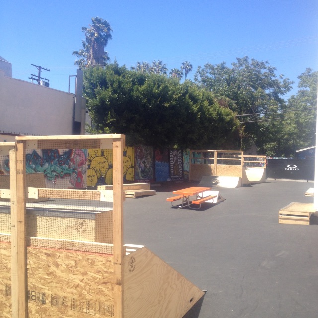 Oakley sunglasses skatepark