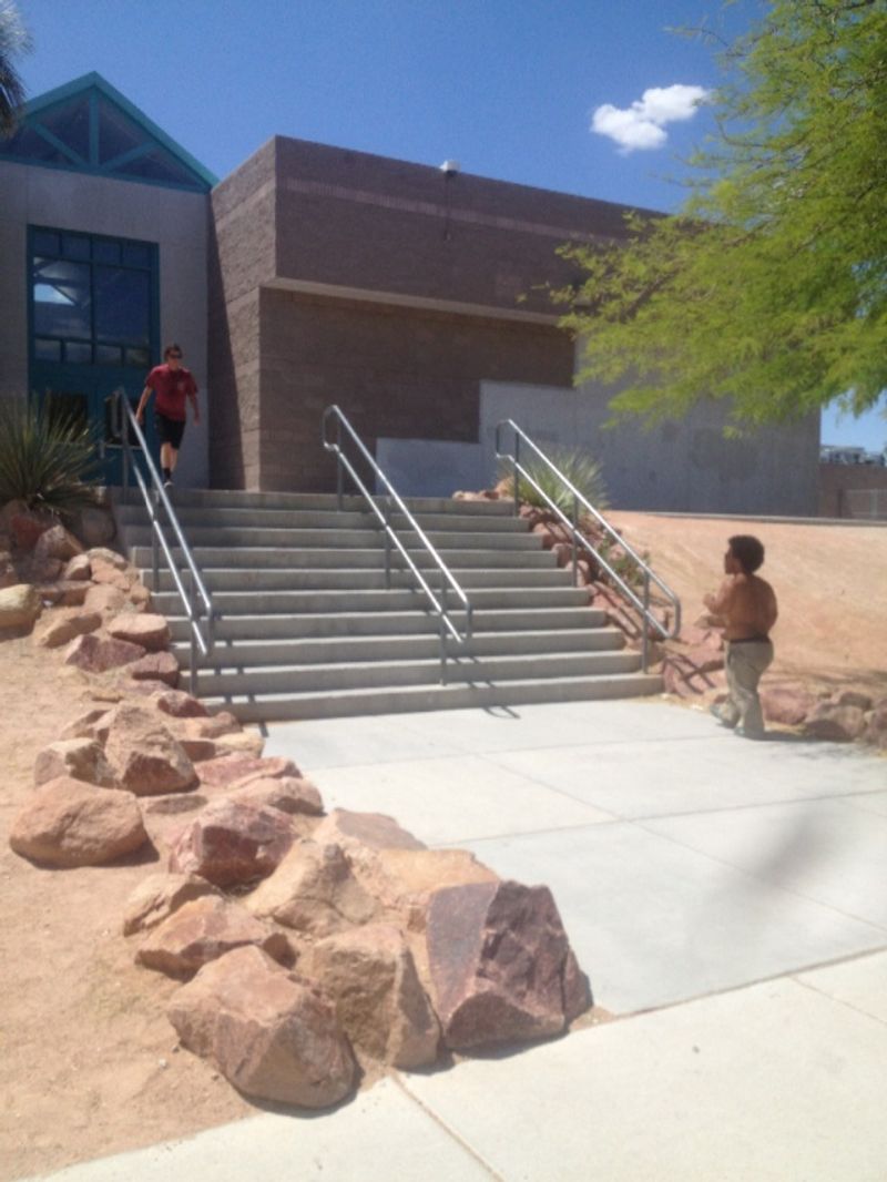 Swainston middle school rail