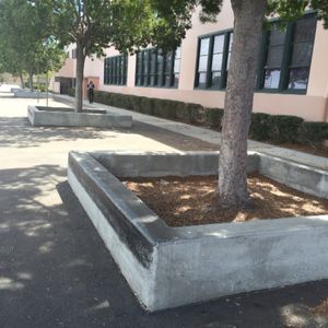 dana middle school
