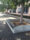 dana middle school