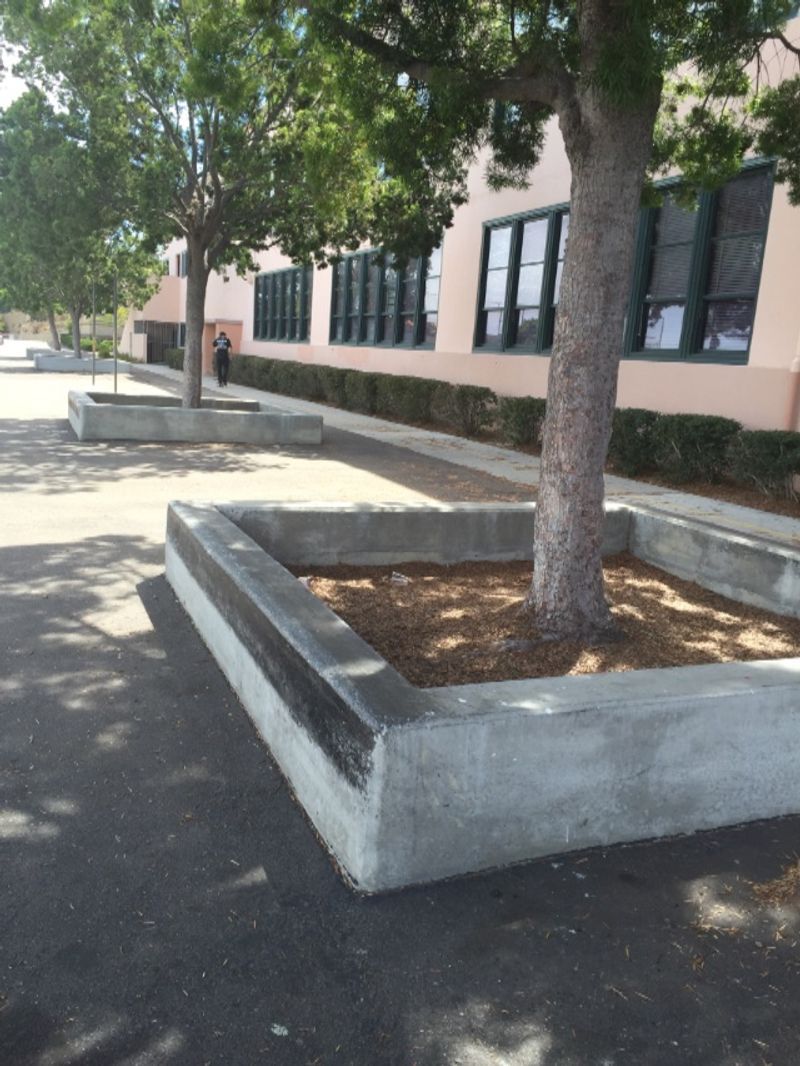 dana middle school