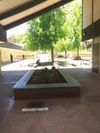 Jerabek school