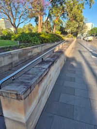 Rail