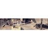 BZ Skate Shop 