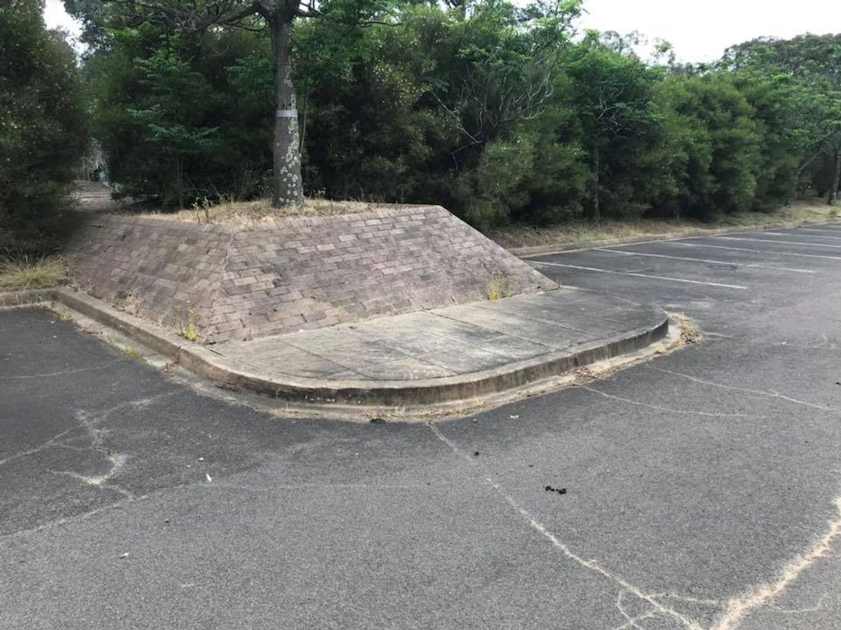 CSIRO Banks skate spot