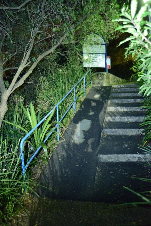 Castle cove Country Club Rail photo 2