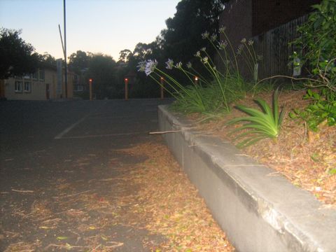 Heidelberg Banks photo 3