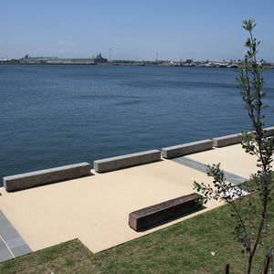 Honeysuckle Ledges