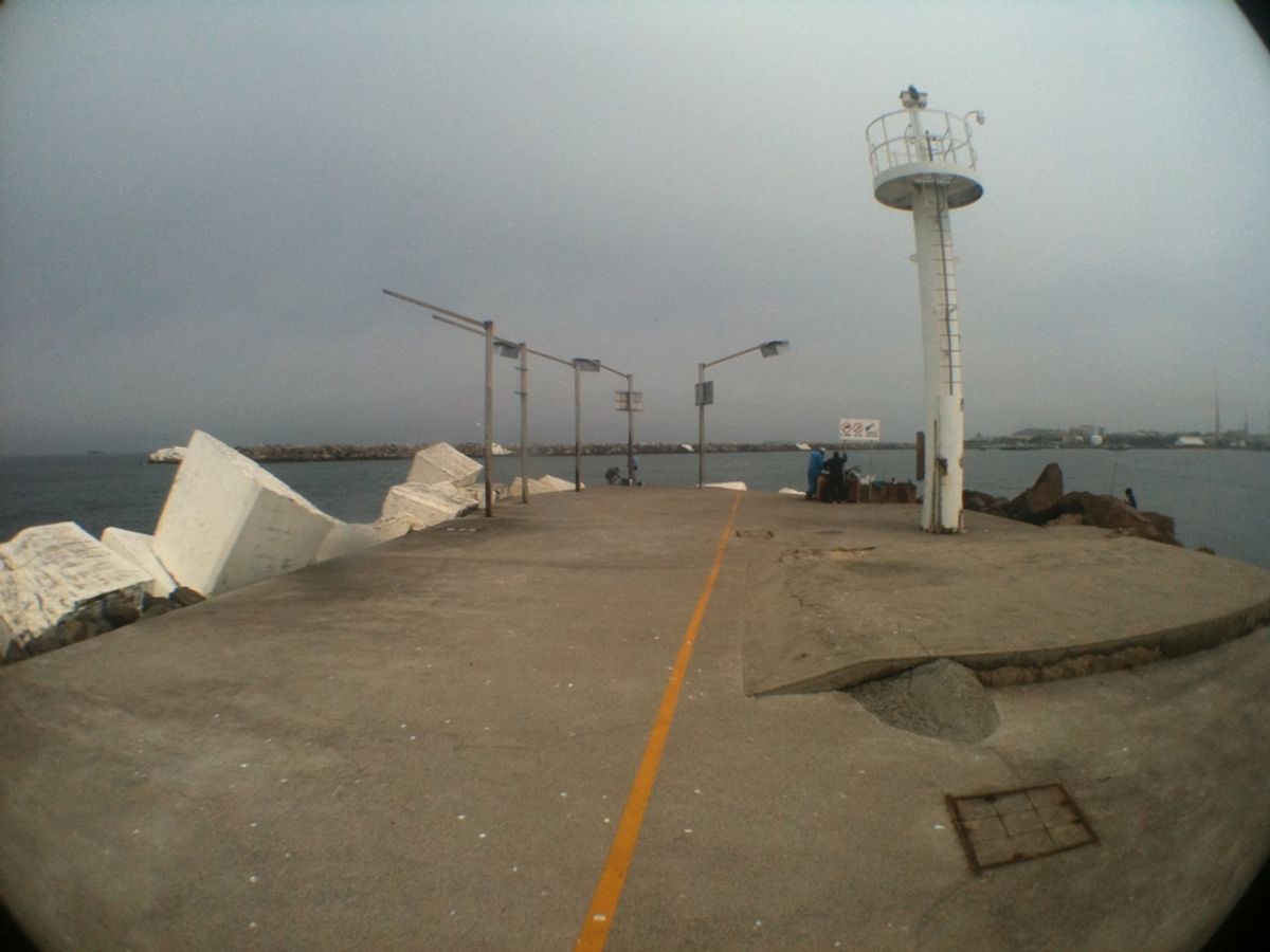 oileys skate spot