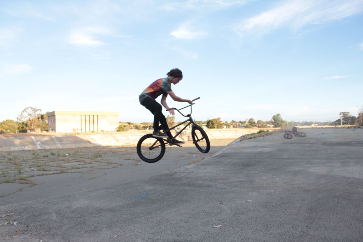 Shitplant skate spot