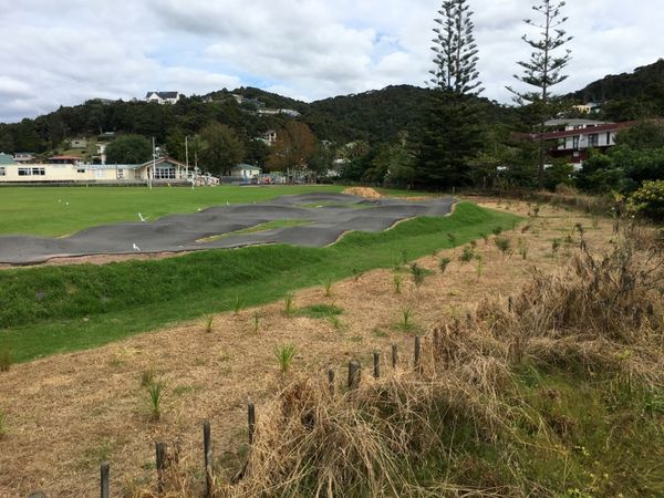 Paihia Bump Track