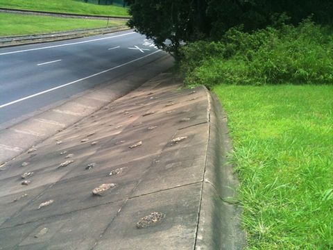 Kent St bank photo 3