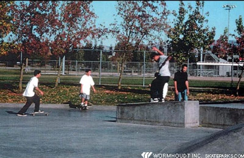 Pleasanton Skate Park