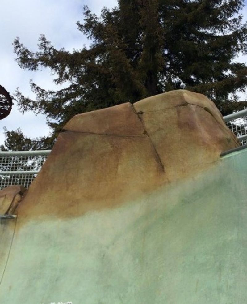 Santa Rosa New Skatepark