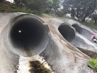 Smash Pipes
