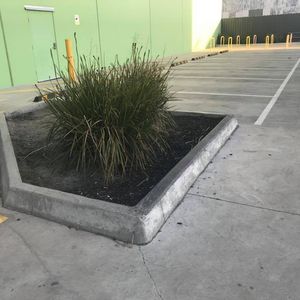 Supa Curb