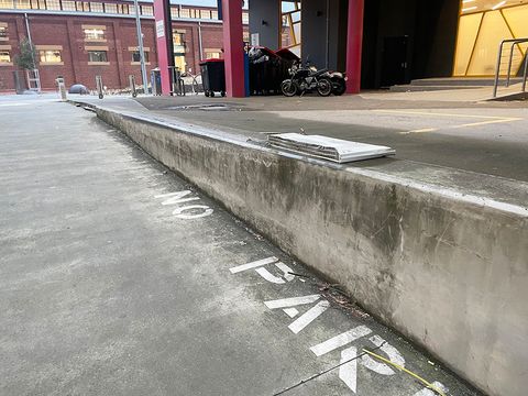VCA Laneway Ledge photo 2