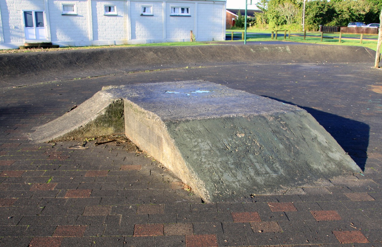 Pennington Park Skatepark