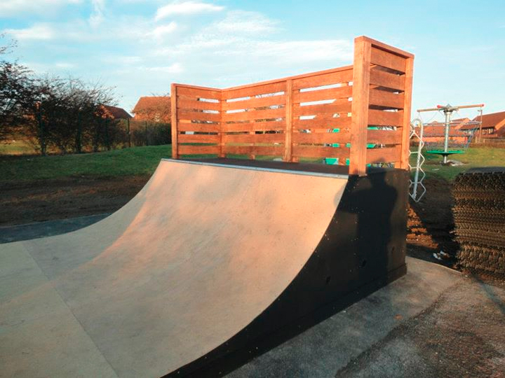 Walnut Tree Mini Ramp