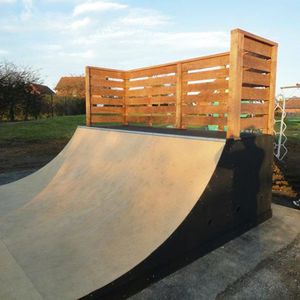 Walnut Tree Mini Ramp