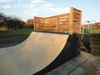 Walnut Tree Mini Ramp