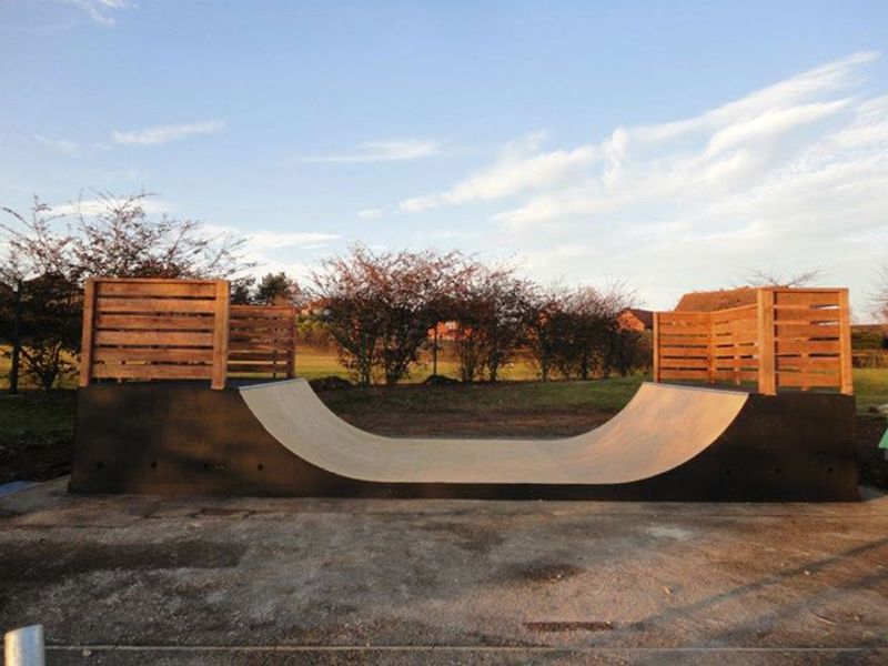 Walnut Tree Mini Ramp