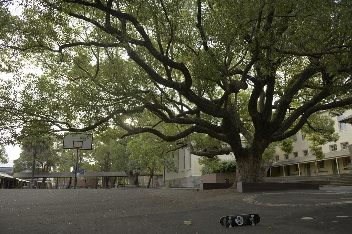 Leichardt Public skate spot