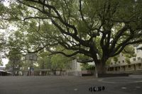 Leichardt Public