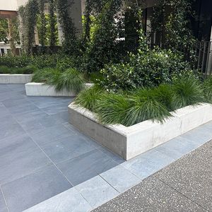 ACT Gov Mini Ledge