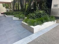 ACT Gov Mini Ledge