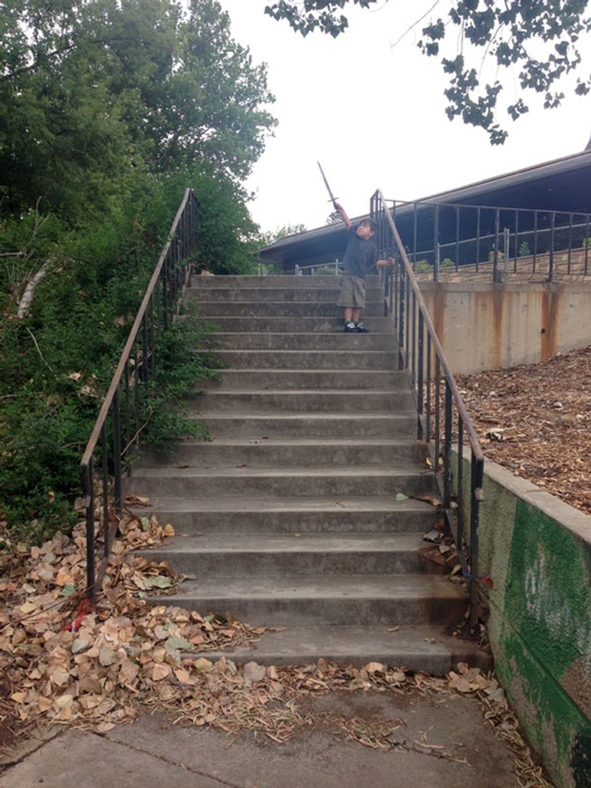 Reid Rail skate spot