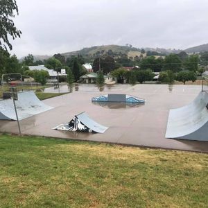 Adelong Skatepark