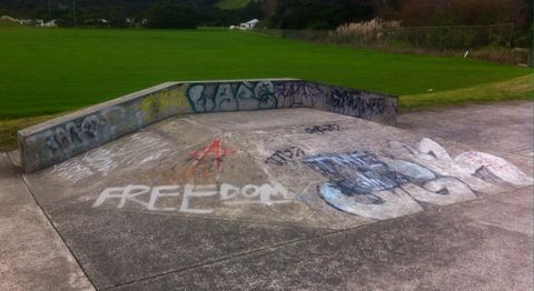 Ahipara Skate Park photo 2