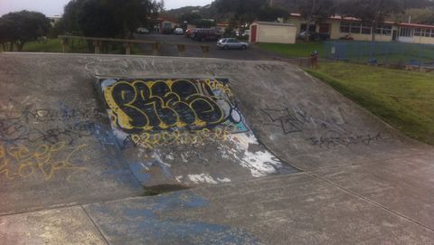 Ahipara Skate Park photo 3