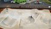 Albany Skate Park