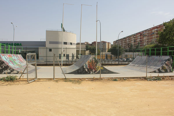 Amate Spine Ramp