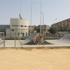 Amate Spine Ramp