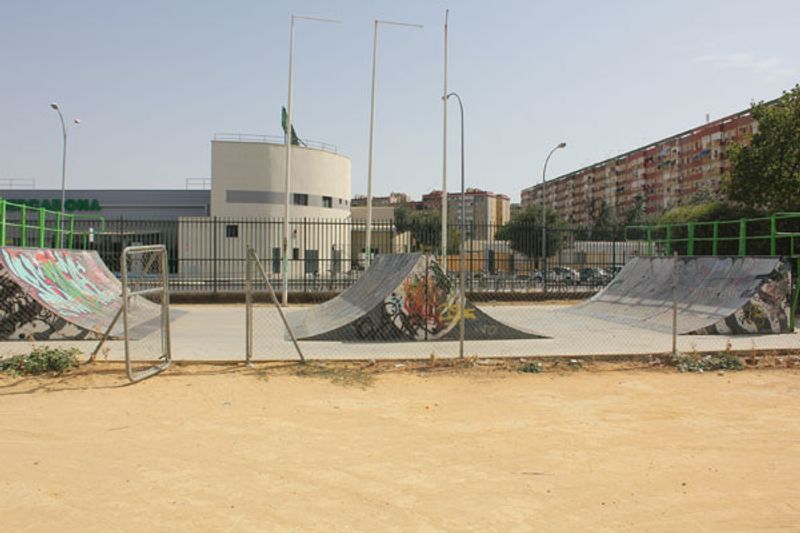 Amate Spine Ramp