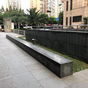 Renanissance Ledge 