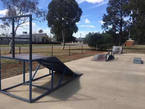 Ariah Park Skatepark photo 3
