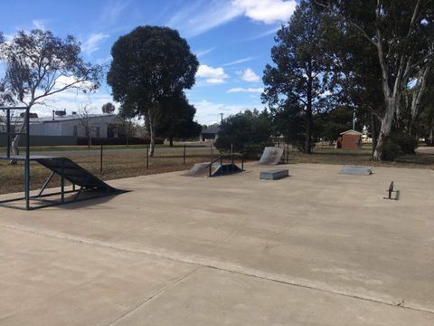 Ariah Park Skatepark photo 4