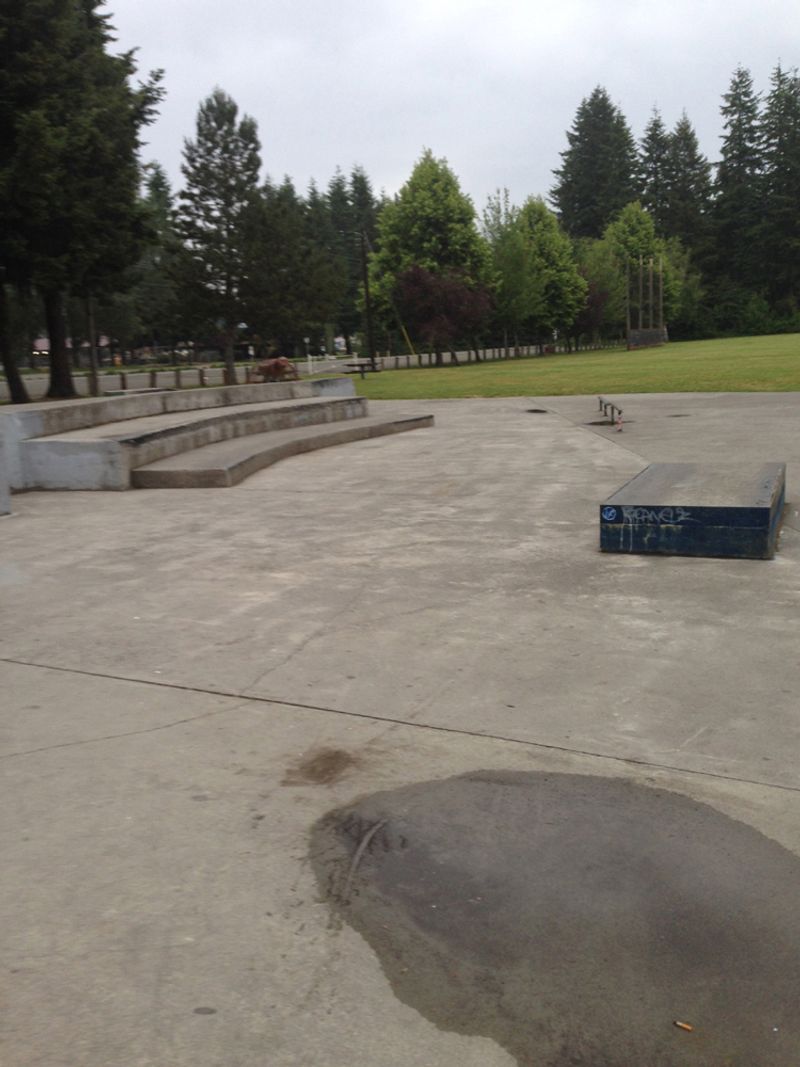 Arlington Skate Park