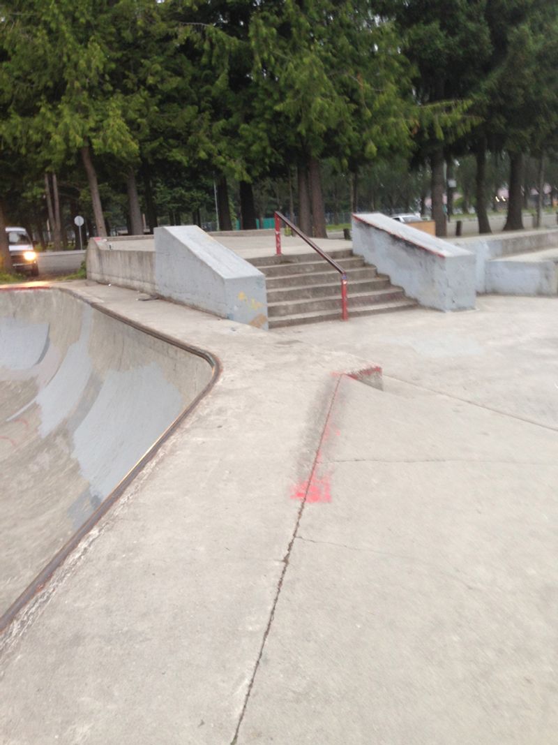 Arlington Skate Park