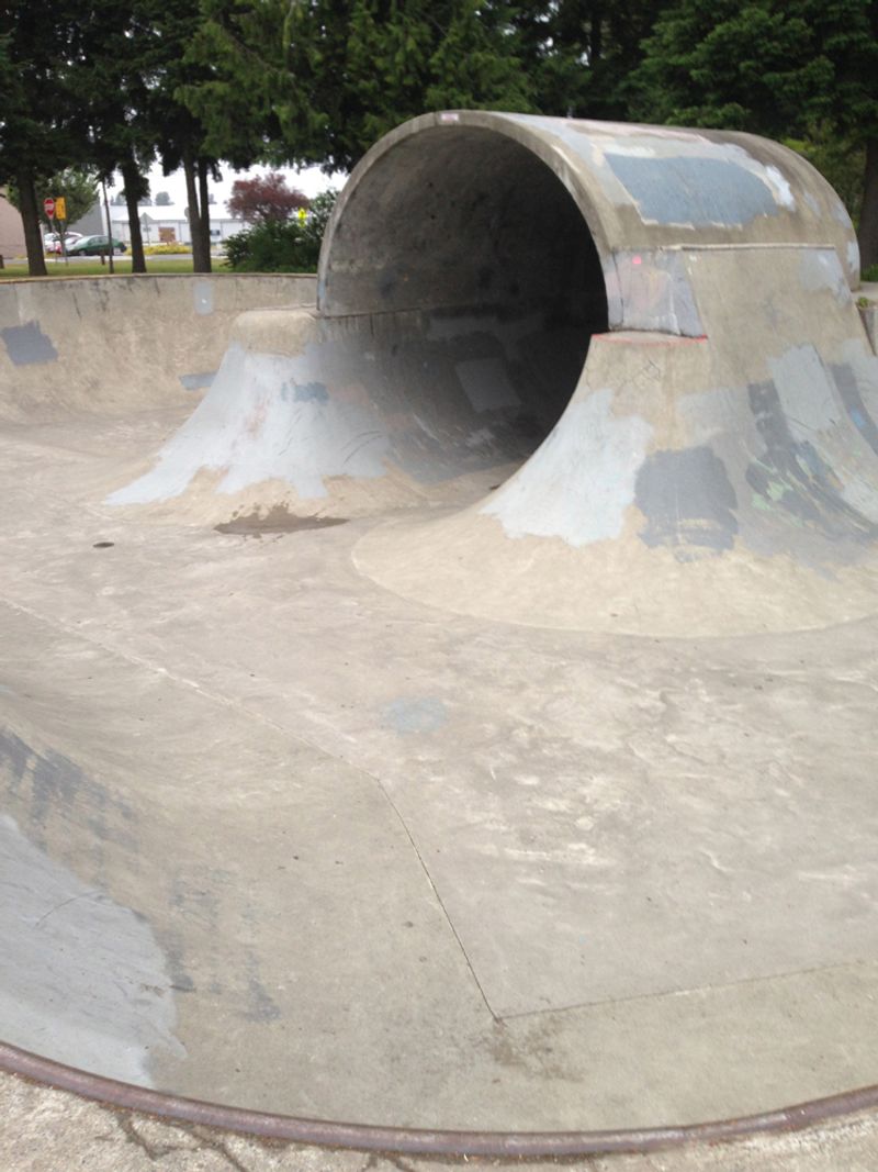 Arlington Skate Park
