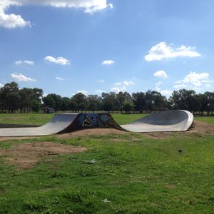 Webb Park Skatepark