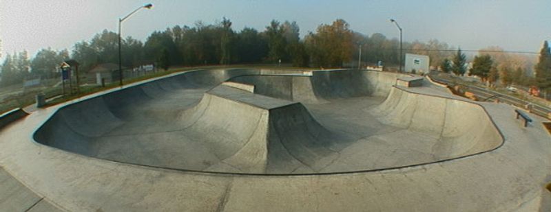 Brian Haney Memorial Skate Par